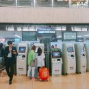 팀 에어포트