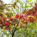 새들가든 이미지