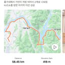 홍가네슈퍼