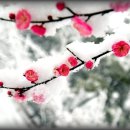 관음사 가는길 이미지