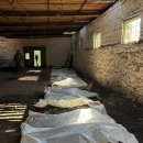 Ukraine : retrouver les corps des soldats, une mission presque impossible a 이미지