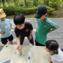 청사태권도장 이미지