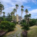 제주의 사색 이미지