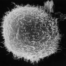 의선당한의원 이미지