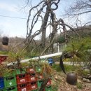 운장산가든 이미지