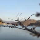 고성 낚시터 이미지