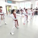 경희대장하태권도