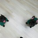 새옷입고