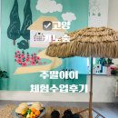 주말에 아이와 뭐 하지? 주말 아이 체험 수업 고양 키노 숲 내돈내간완전 만족 후기