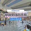 롯데유치원 | 부여롯데리조트 수영장 아쿠아가든 이용요금 할인 식당 (8세여아 대만족한 이용후기)