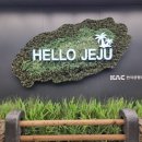 제주도 동쪽 코스 3박 4일 여행 일정, 경비, 숙소 총정리