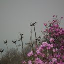 백상어린이집 이미지