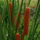 미추홀공원 다례원 이미지