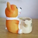 로맨스 다육 이미지