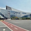 부산항 → 후쿠오카 여객선, 뉴카멜리아호 탑승 전 꼭 알아야 할 정보