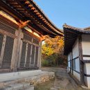 031.원각사_연등_1 | 일산에서 부처님오신날 가볼 만한 절, 식사동 원각사 이야기