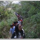 양대초등학교 이미지