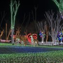 별빛랜드 이미지