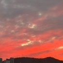 동구야구경기장 | 달려라 석진 콘서트 ♥ 와 홉온스 무비 + 야구를 곁들인