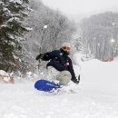 파인리조트 이미지