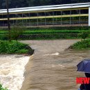 동화천1 이미지