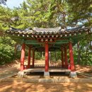 식파정 이미지