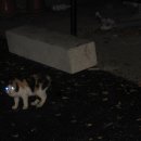 마을정자 이미지