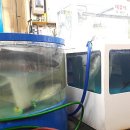 뉴해모수 이미지