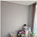 가사관리사 분당파출부 가사도우미 후기