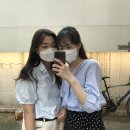 치베디아모
