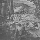 대한항공정우회 이미지