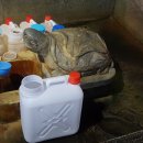 약수마을여관 이미지