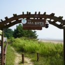 여름탐방(가족) 이미지