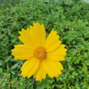 방배근린공원 (응봉약수터 옆) | 매봉재산(방배근린공원) 가볍게 산책