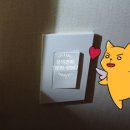성광전기조명 - 안성시 중앙로 72-1 | 성광전기조명