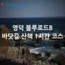 영덕블루로드 | 영덕 블루로드 B코스 추천(해파랑길 21코스) | 바닷길 1시간 산책 동선
