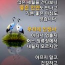 사람 마음이란 참 묘하다 이미지