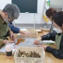 꽃차 소믈리에 2급(자격증과정) 이미지