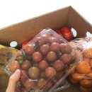 은이네청과 - 성남시 분당구 동판교로 52 | 은이네청과