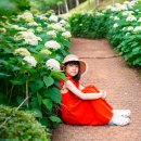 삼선산 수목원 이미지