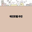 해피펫애견 | 2025년 추천 애견호텔, 안전하고 편안한 여행을 위한 선택 가이드