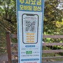 충북 진천 농다리 가볼만한곳｜출렁다리부터 미르폭포까지 산책 코스 추천