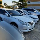 개밥주는여자 이미지