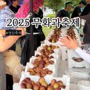 영암군보건소 | 2025 영암 무화과축제 마지막날 비를 뚫고 다녀온 행복한 후기