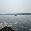 소봉대호