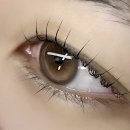 명륜로6길 이미지