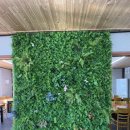 뚱이네 생선구이 이미지