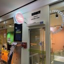 부산고양이분양 브라비펫 펫스테이션점 이미지