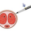 맨투맨남성의원 이미지