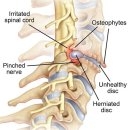 경희강한의원 이미지